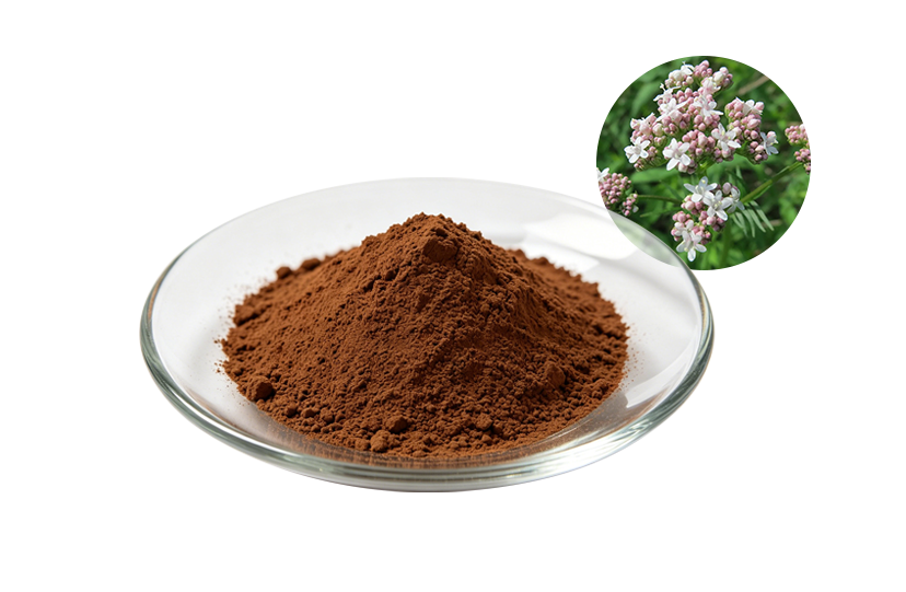 Valerian Root Extract Powder